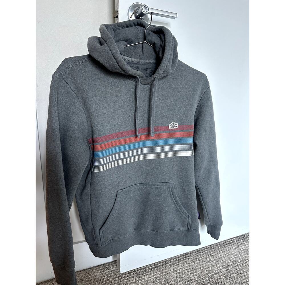 Patagonia Striped Hoodie